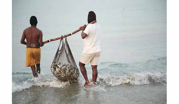 World Fisheries Day observed on 21 November