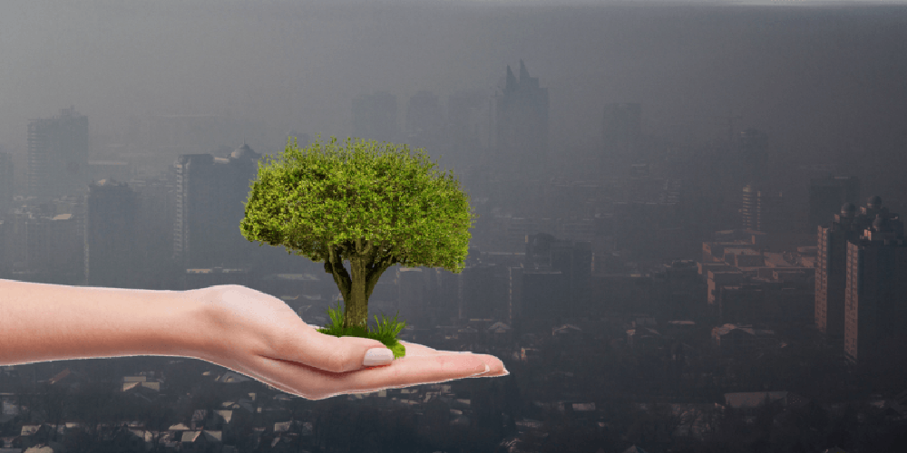 India Ranked 177th in the Environment Performance Index List