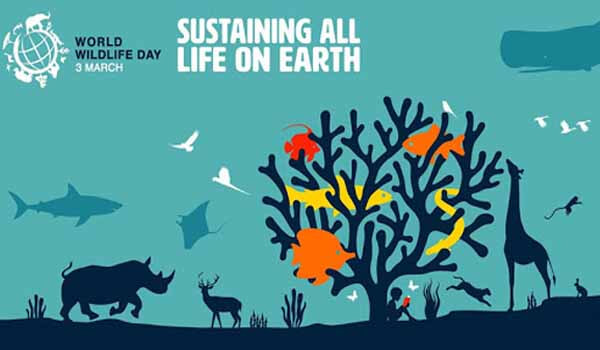 World Wildlife Day celebrated on 3rd March Every year