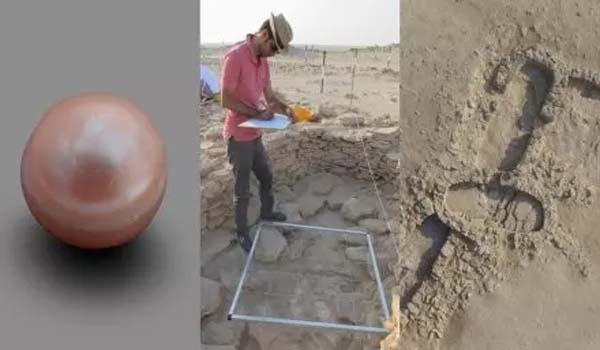 World’s oldest Pearl discovered on Marawah Island, Abu Dhabi