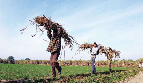Union Cabinet Approved 'Pradhan Mantri Annadata Aay SanraksHan Abhiyan' To Farmers