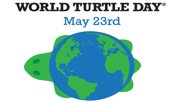 23rd May: World Tortoise Day