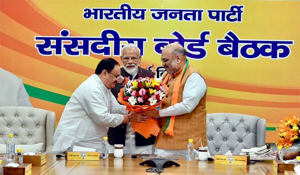 BJP appoints JP Nadda as Working President