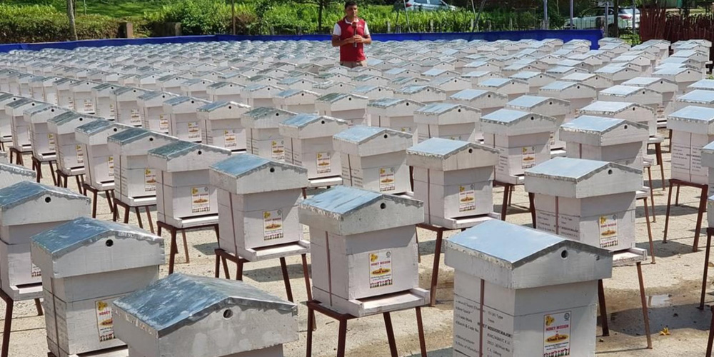 KVIC Created World Record of Distributing Maximum Number of Bee-Boxes in a Day