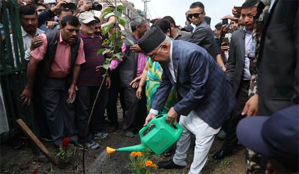 National Plantation Day Observed In Nepal
