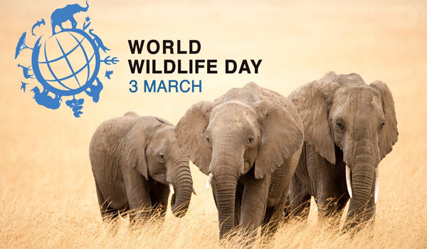 World Wildlife Day being Obersved on 3rd March