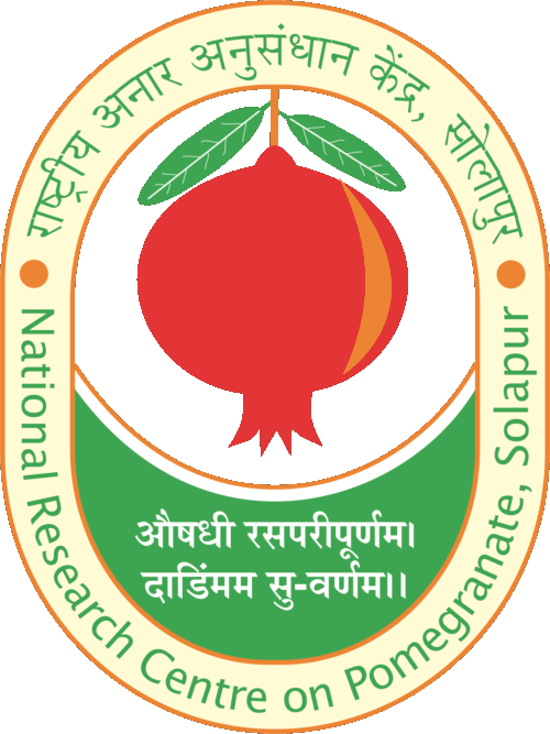 NRCP - SOLAPUR